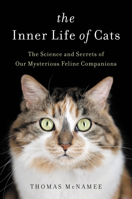 The Inner Life of Cats