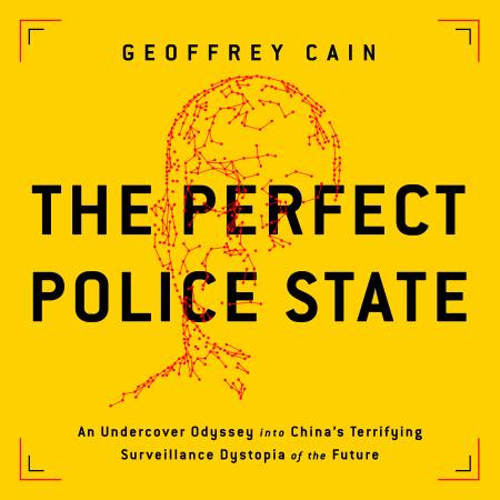 The Perfect Police State